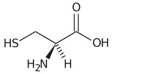 Senza-titolo-ll1