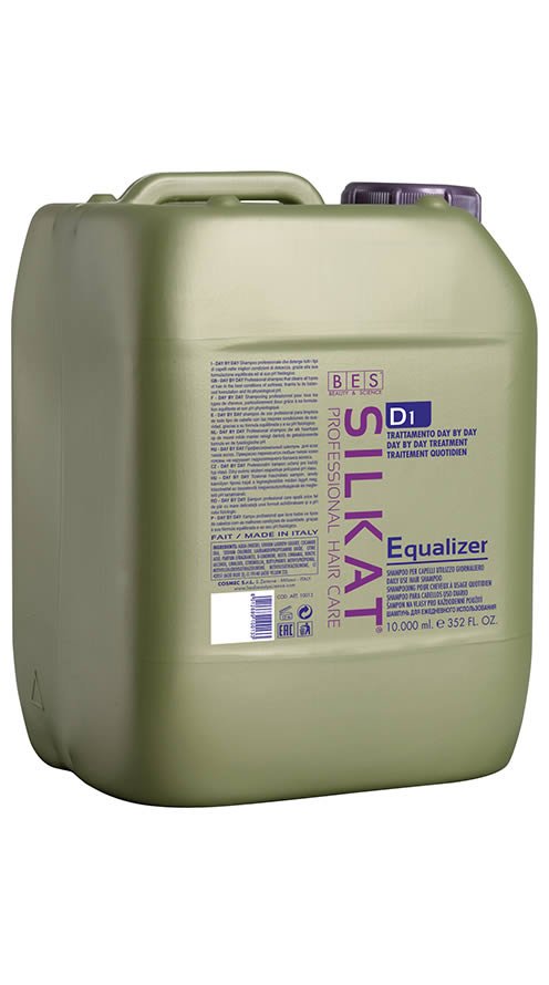 DAY BY DAY D1 EQUALIZER - Imagen 3