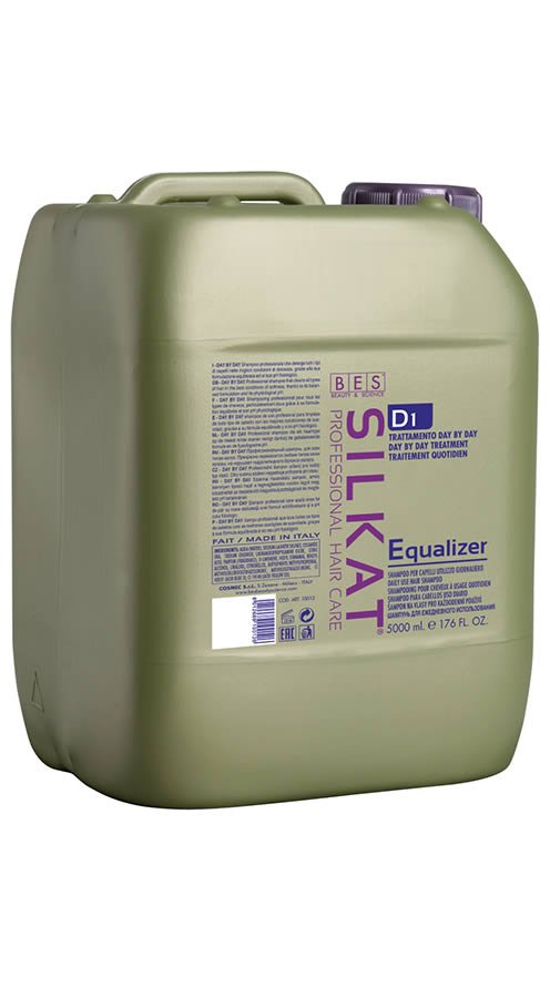 DAY BY DAY D1 EQUALIZER - Imagen 2