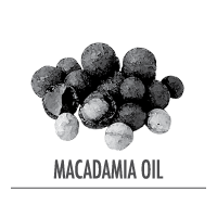 macadamia